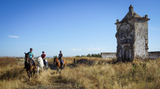 Spain-Southern Spain-Train and Trail - in Southern Spain